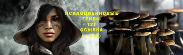 бошки Алзамай