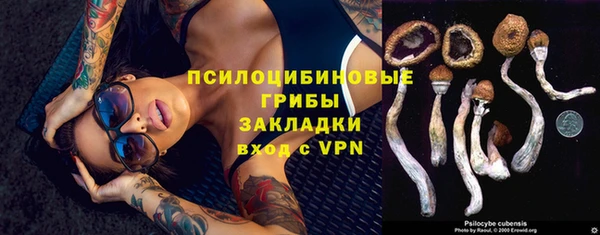 бошки Алзамай