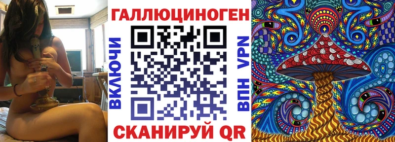 блэк спрут онион  как найти закладки  Навашино  Псилоцибиновые грибы MAGIC MUSHROOMS 